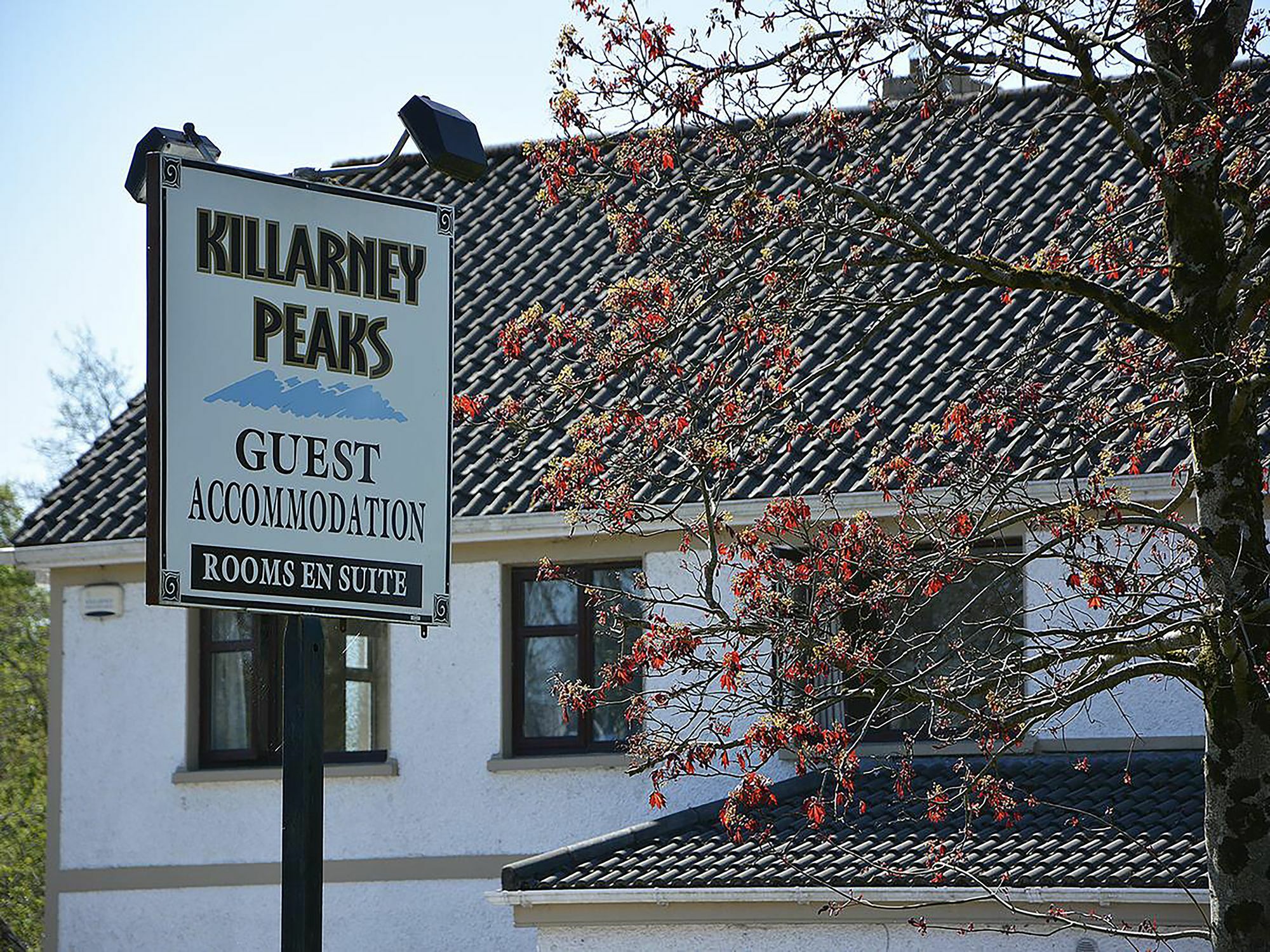 Killarney Peaks Guesthouse 외부 사진